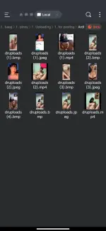 Screenshot_20250418-193007.webp