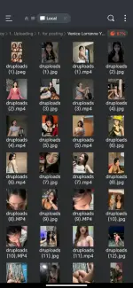 Screenshot_20250420-025953.webp