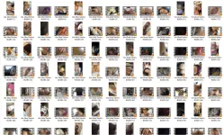1745247119963.webp 1745247119963.webp