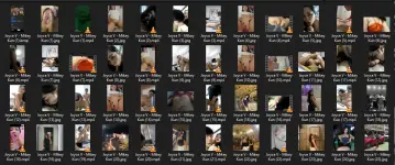 Untitled.webp