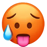 1745626135447.webp