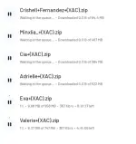 1745700266638.webp
