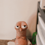 giphy.gif