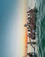 last of bora with this amazing crew 🫶.webp