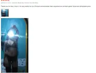 5STAR-4.webp