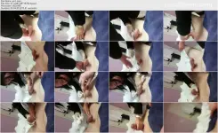 1746311691778.webp