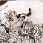 friday-pay-day.gif