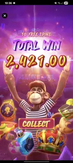 1000002751.webp