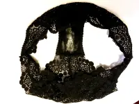 baron0001 - Dirty panties - black 15 - 0036 - 00-5830616.webp