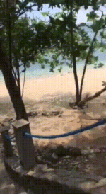 copy_C3638DCB-99E6-4C5F-AE16-733218B7C976.gif