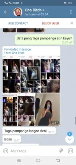 Screenshot_20210418_030513.webp Screenshot_20210418_030513.webp