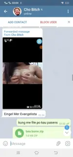 Screenshot_20210418_030448.webp Screenshot_20210418_030448.webp