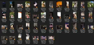Untitled.webp