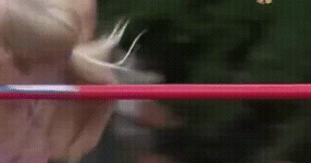ezgif.com-gif-maker-87.gif ezgif.com-gif-maker-87.gif