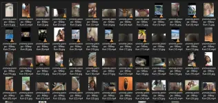 Untitled.webp