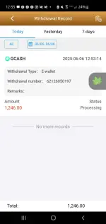 Screenshot_20250606-125333.webp