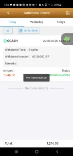 Screenshot_20250606-130653.webp