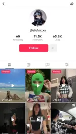 Slyfox - HakkkDoggg (1).webp