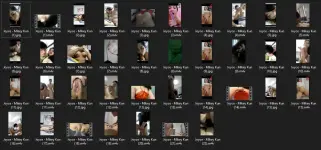 Untitled.webp