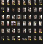 Screenshot_193.webp Screenshot_193.webp