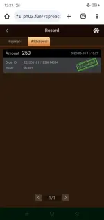 Screenshot_2025-06-10-12-23-32-42.webp