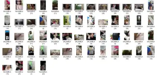 Salasabila.webp
