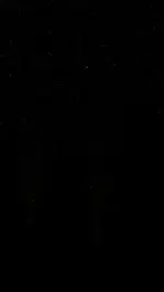 IMG_7949.webp