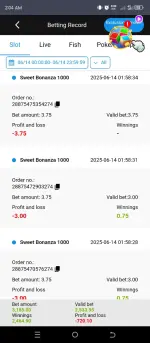 Screenshot_20250614-020431.webp