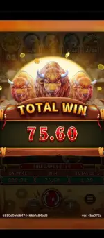 Screenshot_20250617-102118.webp