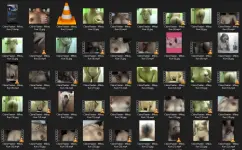 Untitled.webp