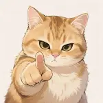 1749029287572.webp