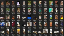 Untitled.webp