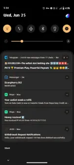 Screenshot_20250625_173457.webp