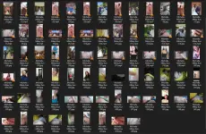 Untitled.webp