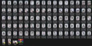 1751255398968.webp