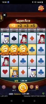 1000032735.webp