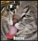 Screenshot_411.webp