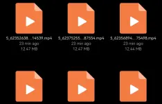 Screenshot_20250708_160945.webp