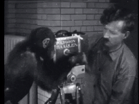 200.gif