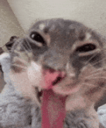 IMG_0866.gif