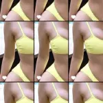 SH3-resized.webp