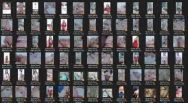 Untitled.webp