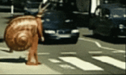 200.gif