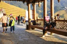 File 24.webp