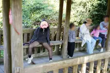 File 35.webp