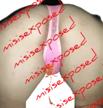 1000547531.webp