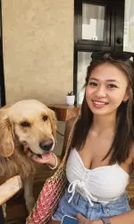 dog.webp
