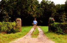 200.gif 200.gif