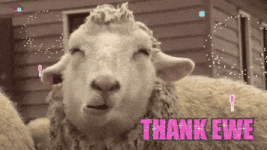 200.gif