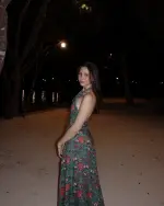 wq (4).webp